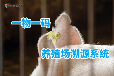 养殖场溯源系统 5.26.jpg