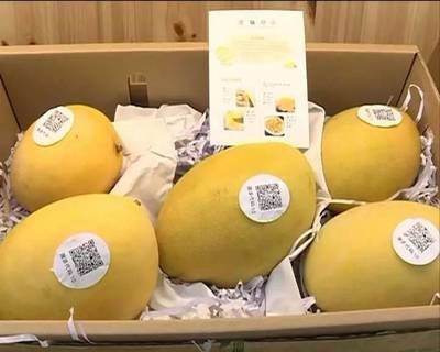 1756279976859625.jpg c44ad4f71eb94276f51f79da4b925d38_t01ab3f6e75317483bb.jpg