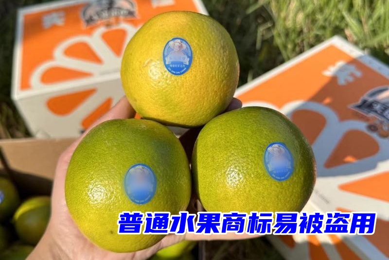 1758000832979503.jpg 76f49ad70830ba3aa1d46fee3d2cb056_6534bb072d211f7102a3ee7e043805a0-800-_副本.jpg