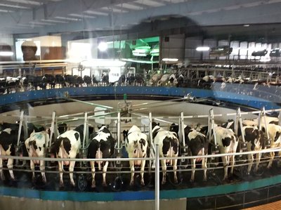 1759981960770595.jpg d6adebfaa6a5fd23b9ae85876e946a7e_t046bc2d1b7fbcde447.jpg